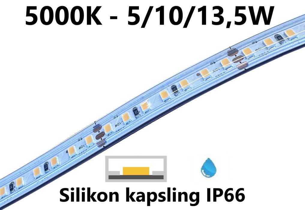 LED stripe - power option - 5/10/13,5W/m - 5000K - L167